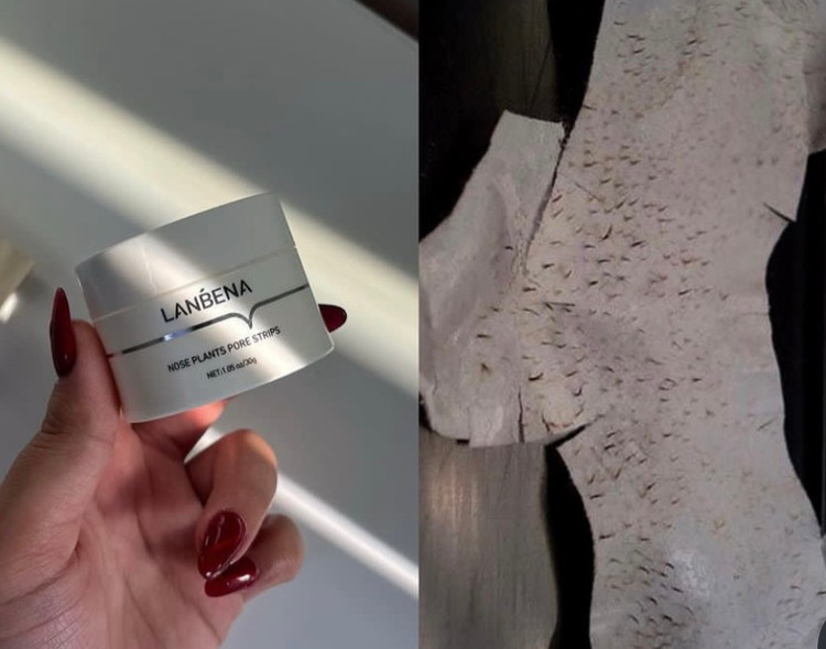 ماسک لانبنا