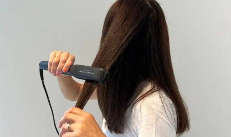 برس حرارتی مسافرتی