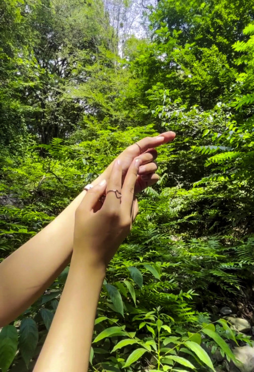 کرم مرطوب کننده شکوفه images