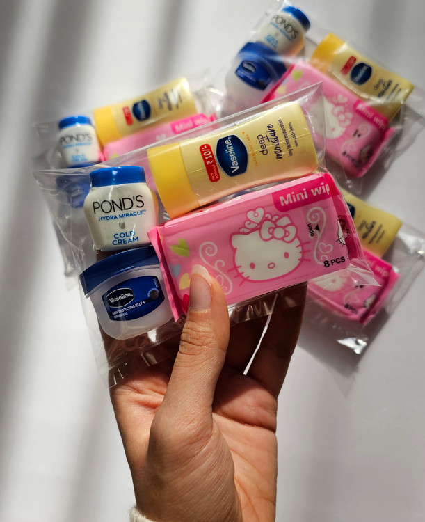 بالم لب مینی