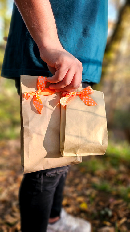 شانسی ارایشی