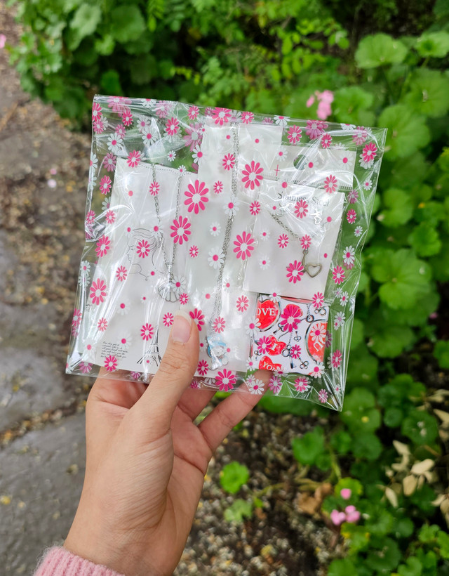 شانسی اکسسوری